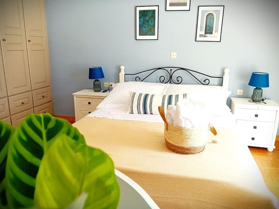 Duka'S Gardenhouse Villa สโกเปลอสทาวน์ ภายนอก รูปภาพ